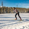 Nordic Ski Pro